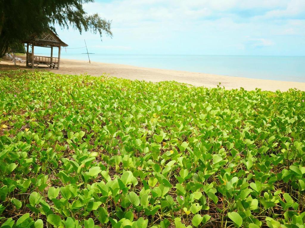 Bayview Beach Resort Бан Крут Екстериор снимка